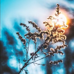 Meet your Posher, Karina